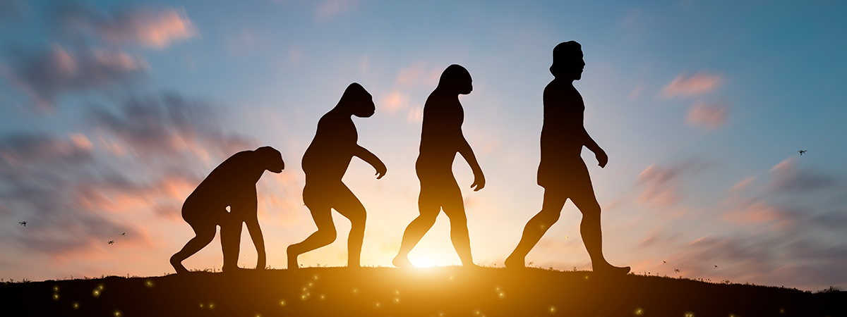 Seminario en El Ser Humano como Organismo: la evolución por medio de la adaptación biológica y cultural 