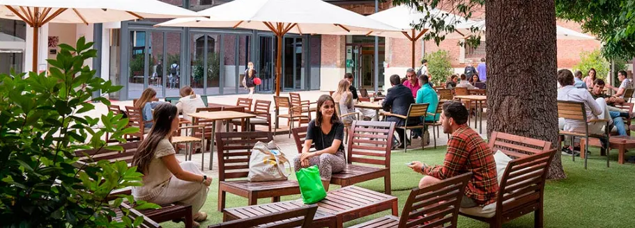 Estudiar Grado en Dirección y Gestión de la Ciberseguridad 